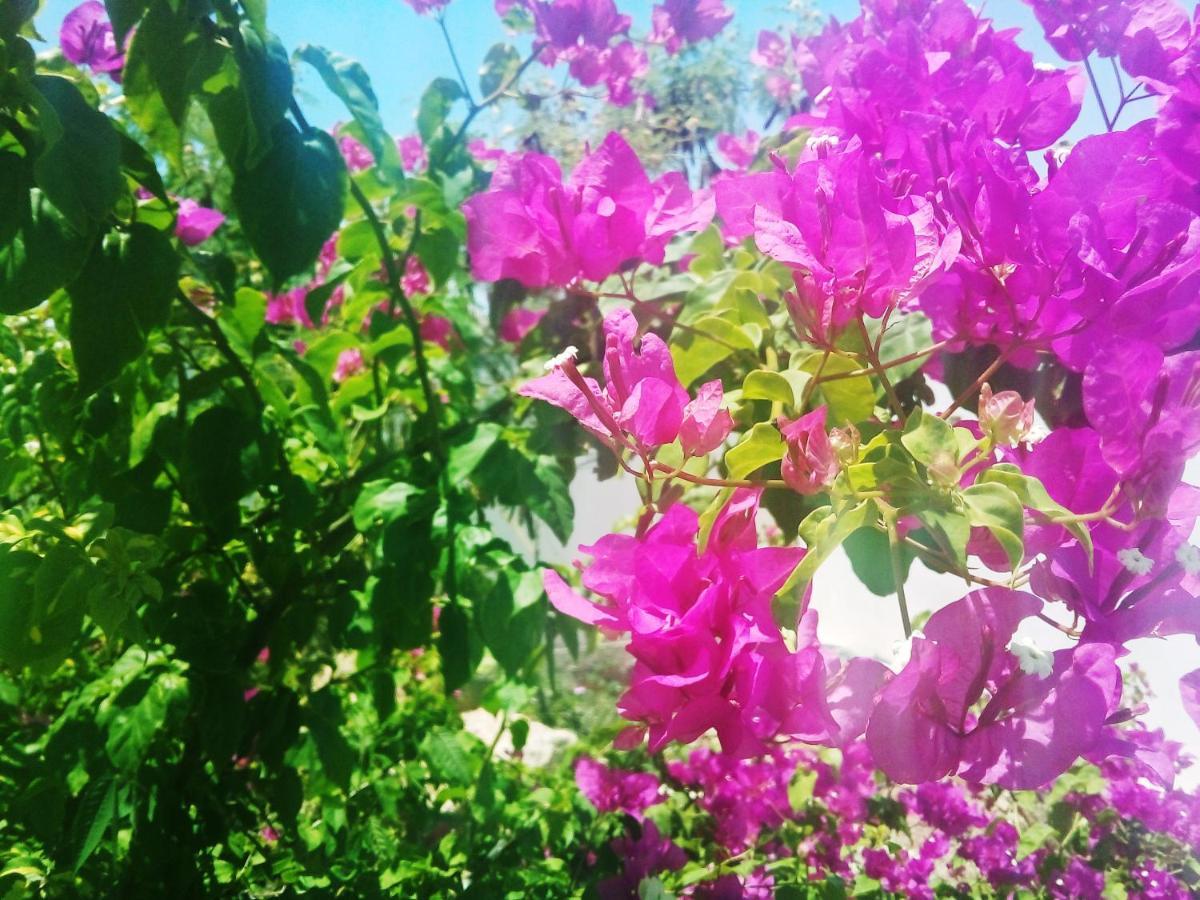 Cytyz Appart Hotel Mahajanga Εξωτερικό φωτογραφία